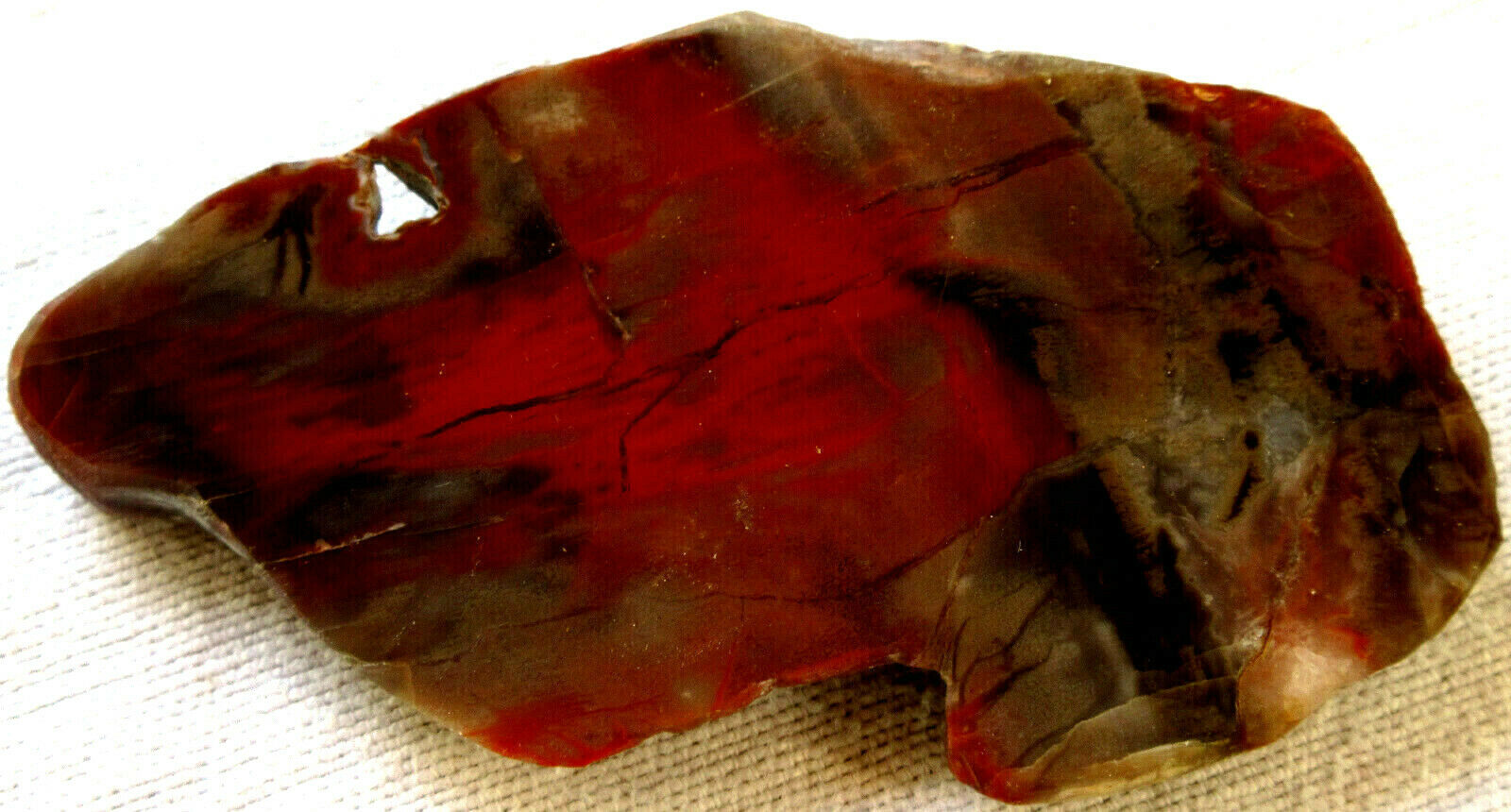 Rainbow Petrified Wood Slab - 95 grams - Arizona - Red -  Black - Polished - End