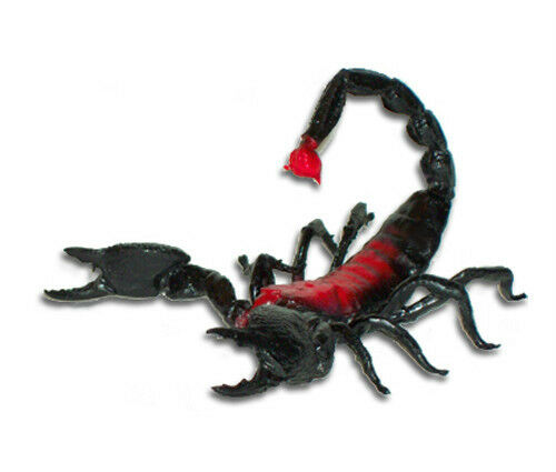AAA 22240 Scorpion Toy Arthropod Replica Prop Model - NIP