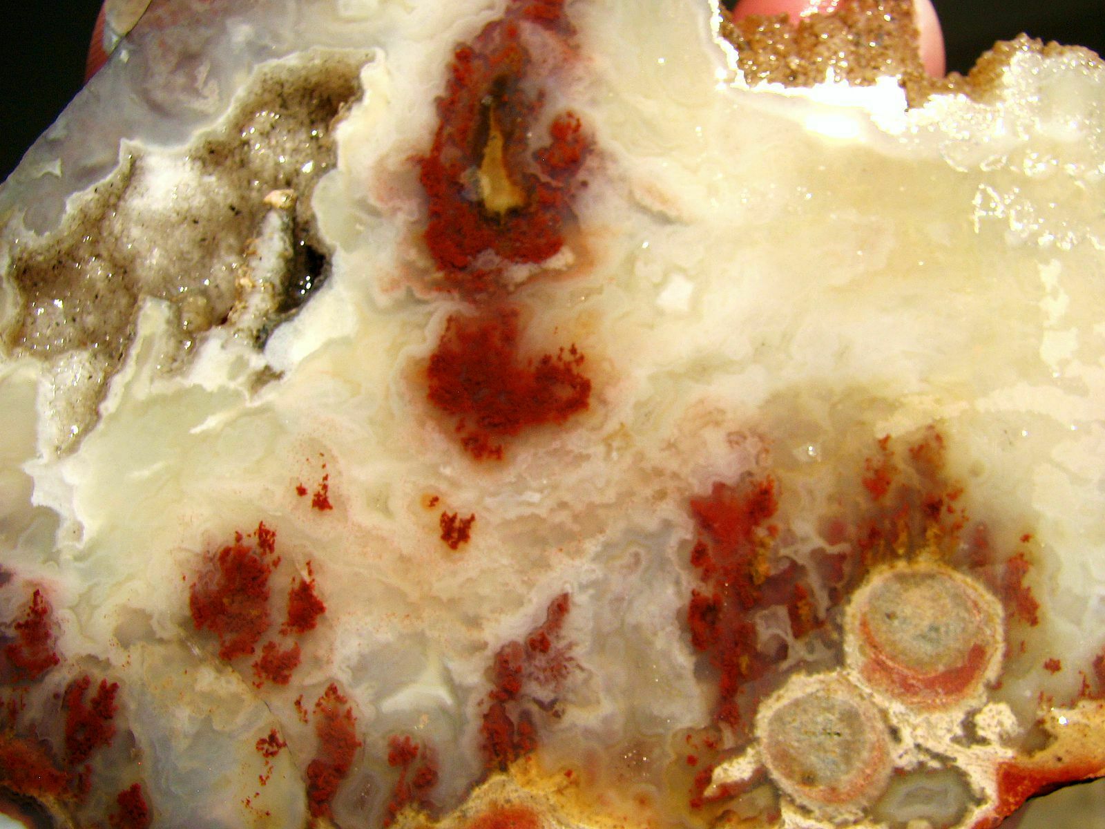 Carey Plume Agate Unpolished Slab: Red And Golden Plumes In Angel Wing Agate