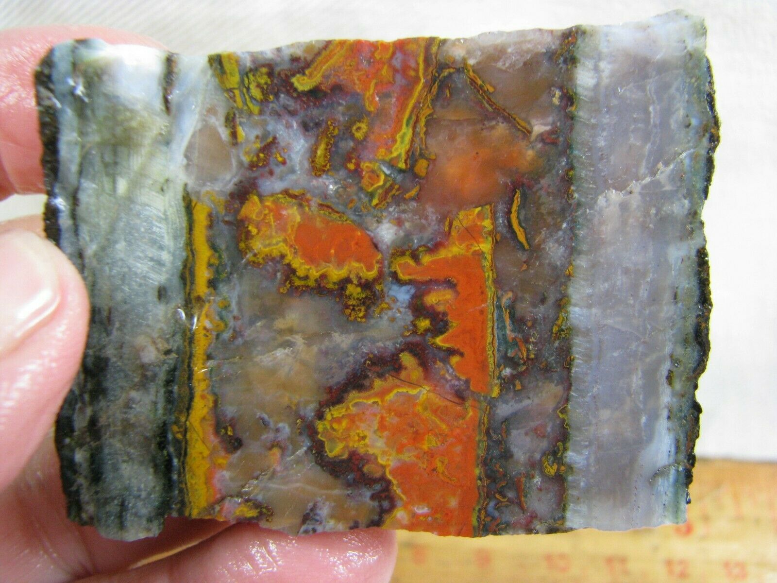 Apple Valley Agate Slab from Morocco for Cabbing and Polishing!