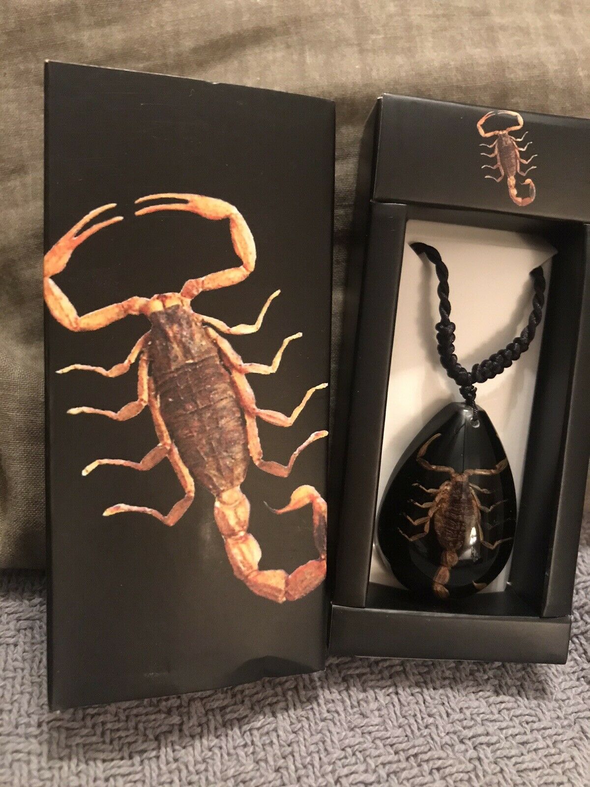 Real Scorpion In Acrylic Corded Necklace New In Box