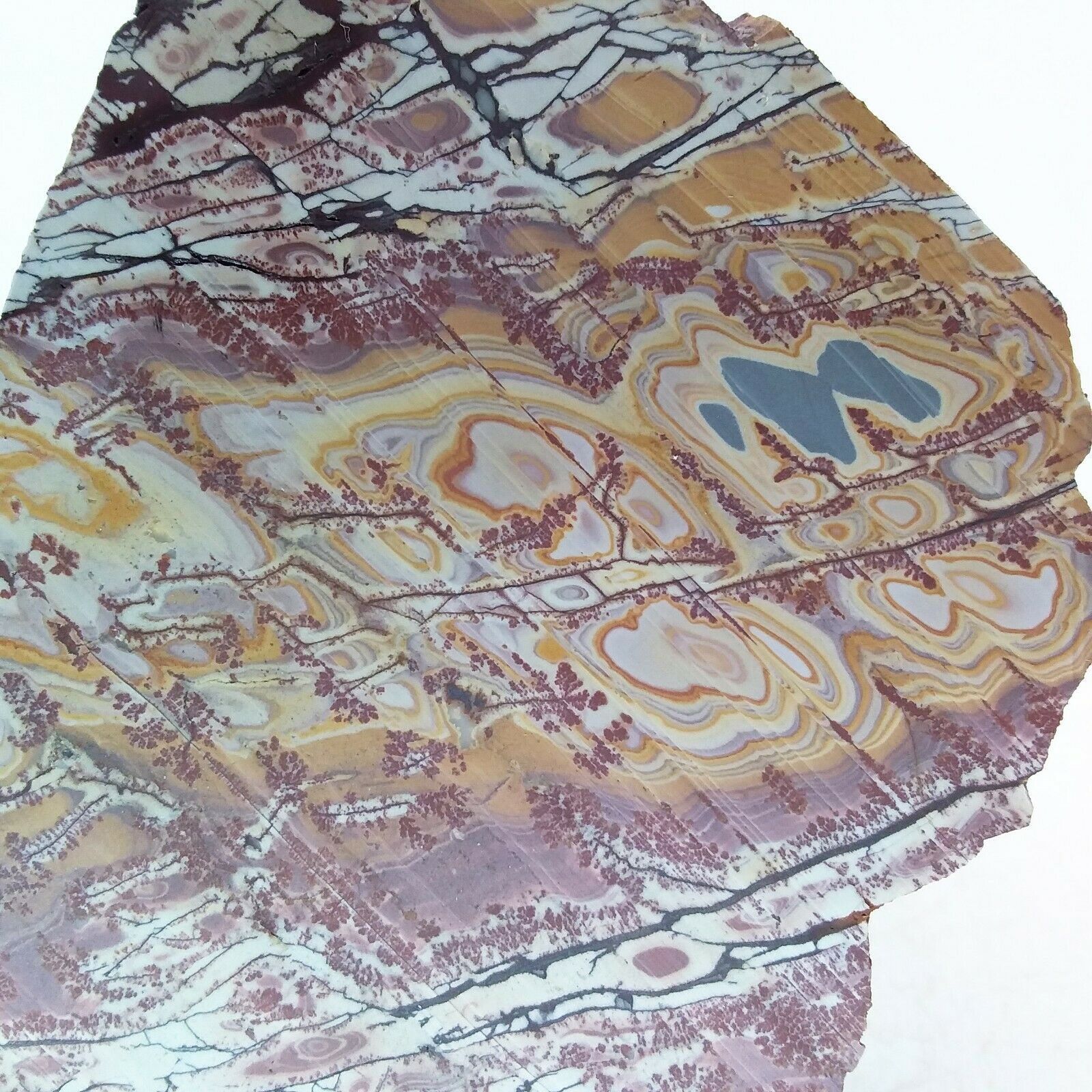 Sonoran Dendritic Rhyolite, slab, cabbing rough, lapidary, gemstone,pink,#R-3391